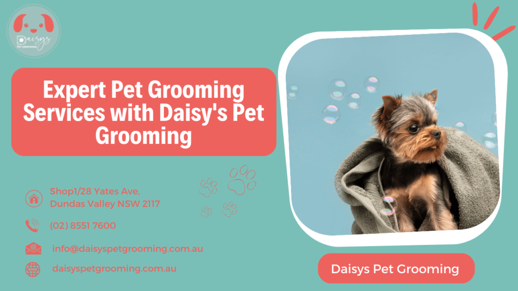 Expert Pet Grooming Services with Daisy's Pet Grooming