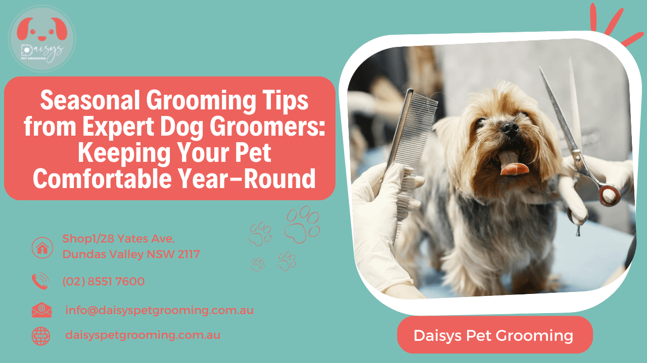 Seasonal Grooming Tips from Expert Dog Groomers Keeping Your Pet Comfortable Year-Round