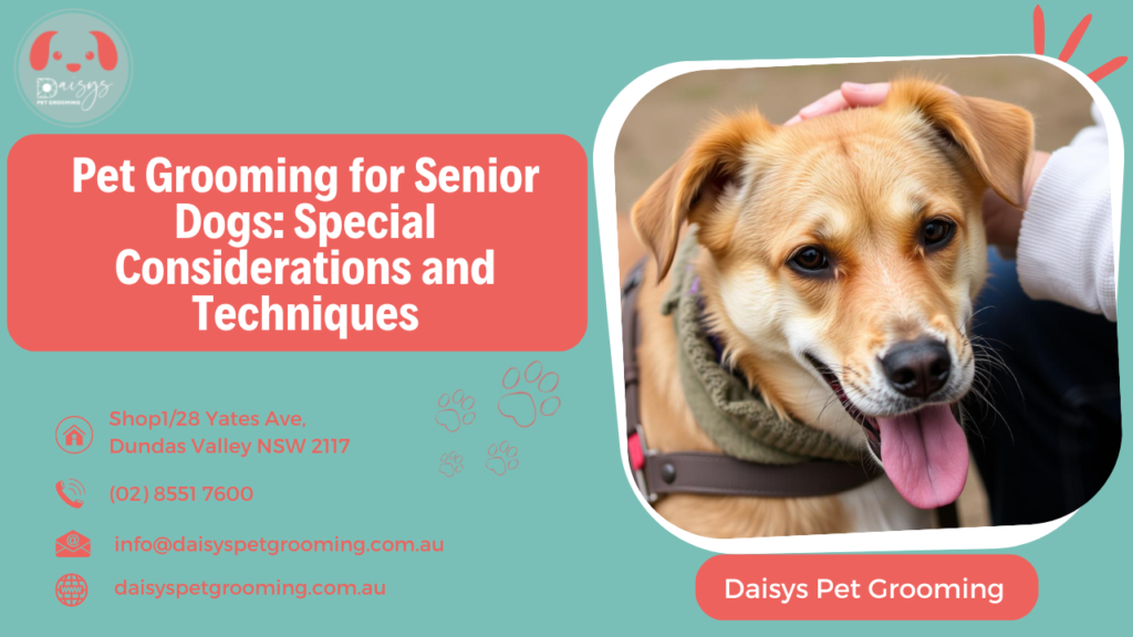 Pet Grooming for Senior Dogs Special Considerations and Techniques