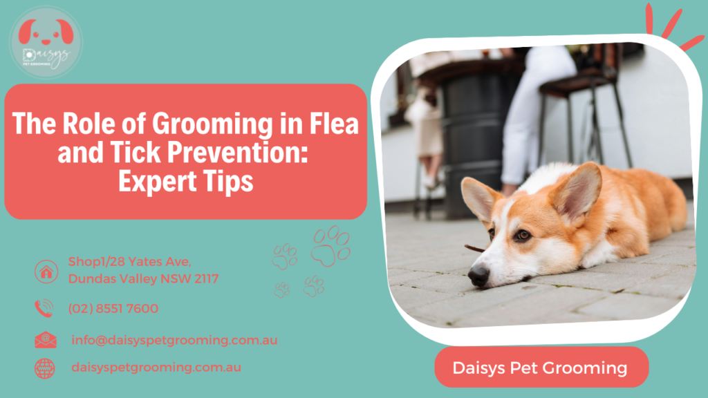 The Role of Grooming in Flea and Tick Prevention Expert Tips