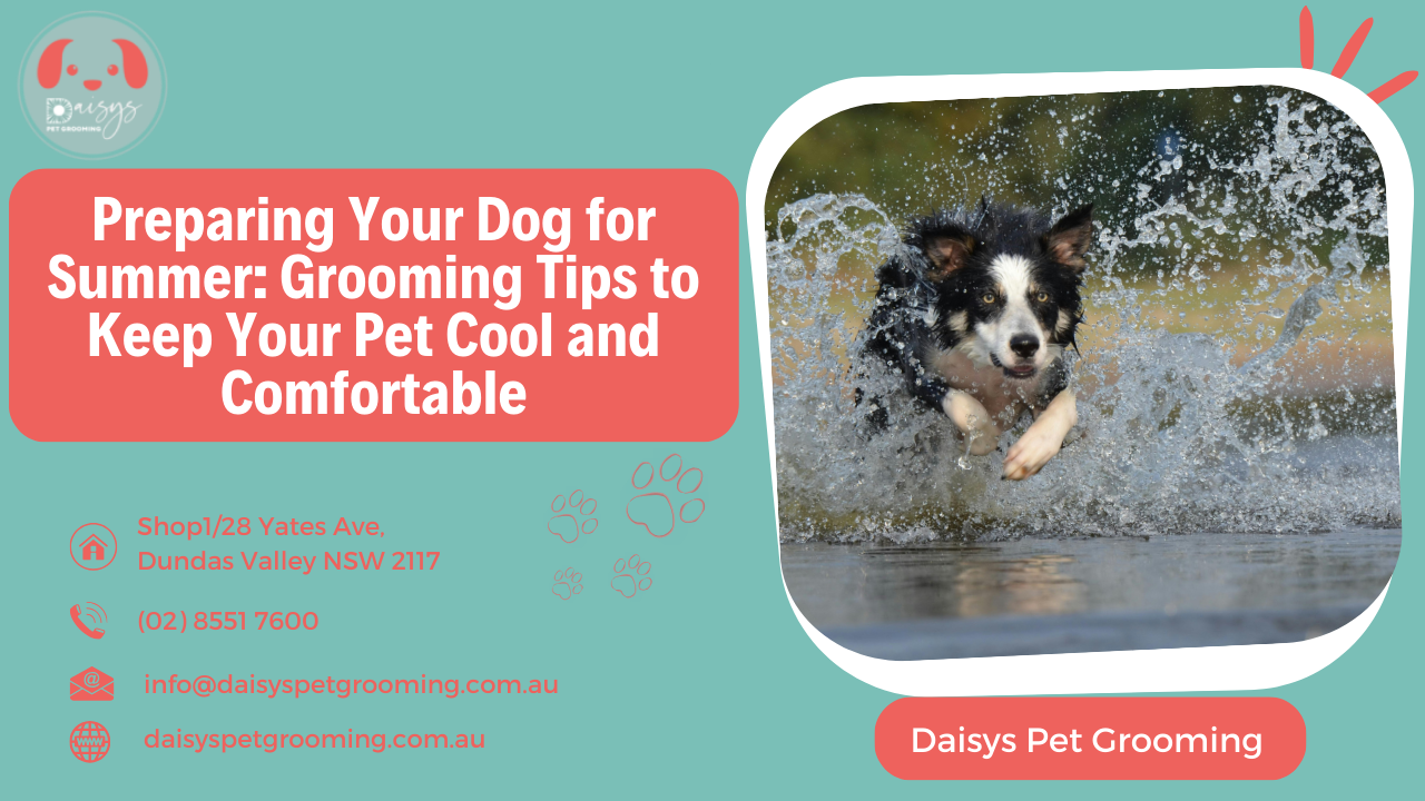 Preparing Your Dog for Summer Grooming Tips to Keep Your Pet Cool and Comfortable